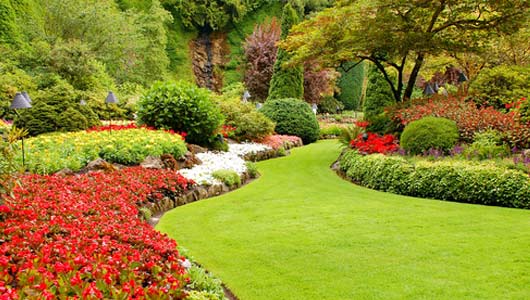 lawn and garden