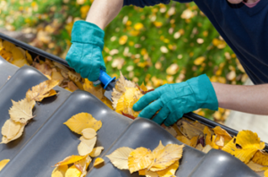 fall maintenance checklist