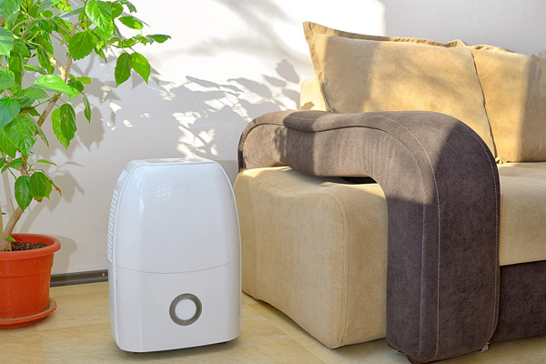 portable dehumidifier