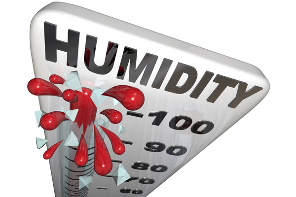 image of high humidity levels