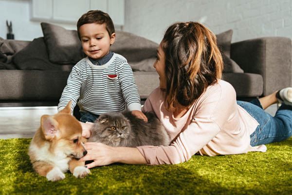 spending time with pets depicting impact on indoor air quality