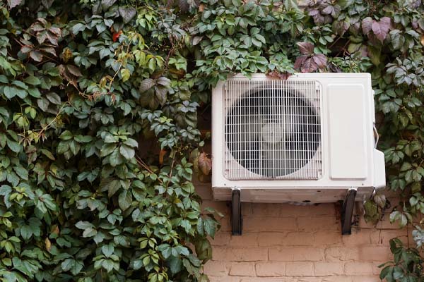 image of a heat pump compressor surrounded by overgrown plants