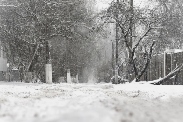 snowy landscape during a winter storm