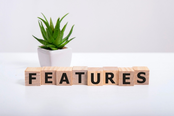 FEATURES spelled using wooden letter cubes