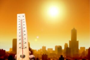 hand holding thermometer outdoors during summer