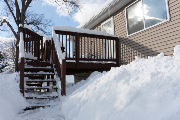 snow covered backyard